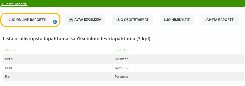 Online-raportti_4.png